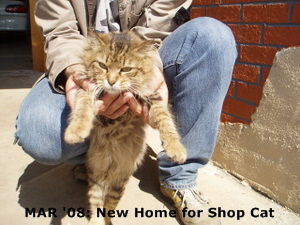 MAR '08: New Home for Shop Cat