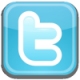 twitter logo 80x80
