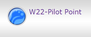 W22-Pilot Point